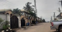 Twin duplex at Magodo Phase 1, Lagos